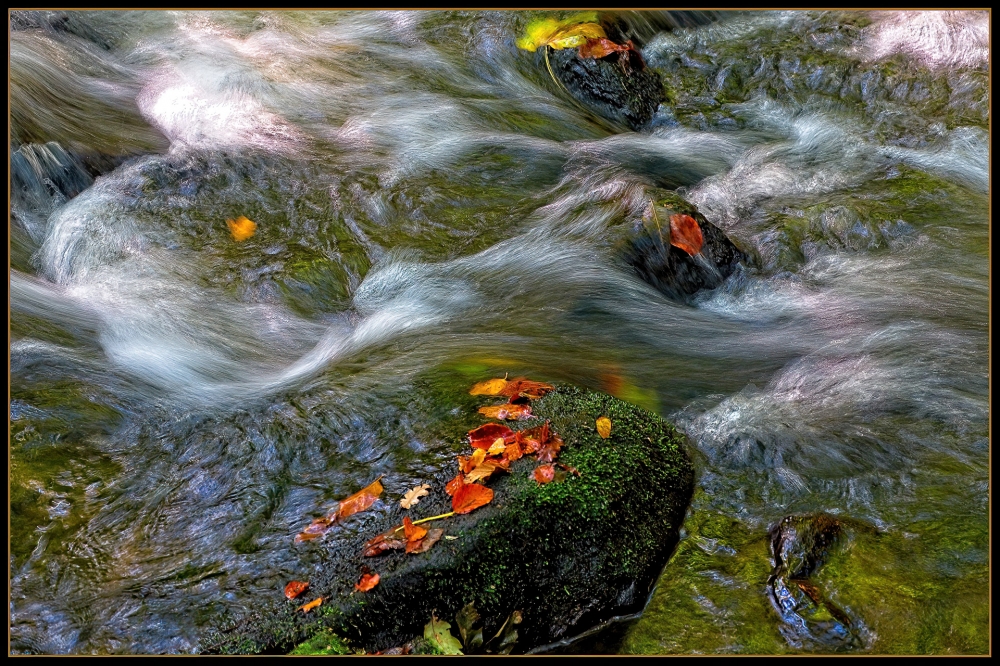 1st Autumn leaves by Ian Scotland